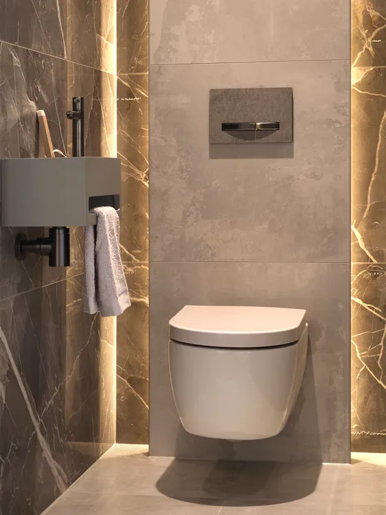 Toiletruimte met hangend toilet en indirect verlichte nis.